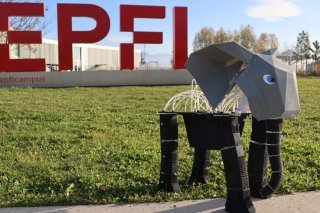 L'approche utilisée pour créer ce robot éléphant est particulièrement adaptée pour reproduire la structure d’organes musculaires complexes comme la trompe. EPFL